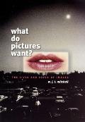 What Do Pictures Want Lives & Loves Of I