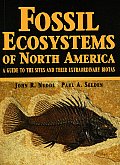 Fossil Ecosystems of North America A Guide to the Sites & Their Extraordinary Biotas