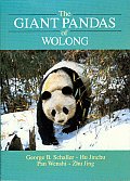 Giant Pandas Of Wolong