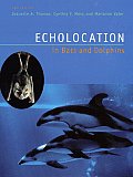 Echolocation in Bats and Dolphins