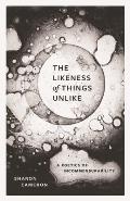 The Likeness of Things Unlike: A Poetics of Incommensurability