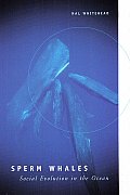 Sperm Whales: Social Evolution in the Ocean