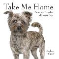 Take Me Home Portraits of Homeless & Rescued Dogs