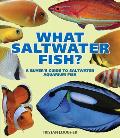 What Saltwater Fish A Buyers Guide to Saltwater Aquarium Fish