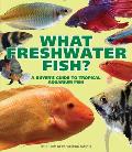 What Freshwater Fish A Buyers Guide to Tropical Aquarium Fish