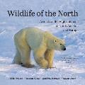 Wildlife of the North: Animals of the High Latitudes of North America and Europe