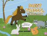 Meet Triggs, the Horse-A-Roo: What's a Horse-A-Roo
