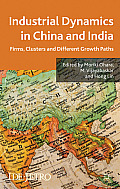 Industrial Dynamics in China and India: Firms, Clusters, and Different Growth Paths