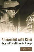 A Covenant with Color: Race and Social Power in Brooklyn