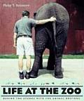 Life at the Zoo Behind the Scenes with the Animal Doctors