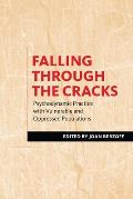 Falling Through the Cracks: Psychodynamic Practice with Vulnerable and Oppressed Populations