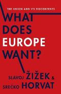 What Does Europe Want The Union & Its Discontents
