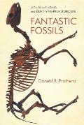 Fantastic Fossils A Guide to Finding & Identifying Prehistoric Life