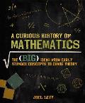 Curious History Of Mathematics The Big Ideas from Early Number Concepts to Chaos Theory