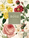 Rose The History of the Worlds Favourite Flower in 40 Captivating Roses with Classic Texts & Rare Beautiful Prints