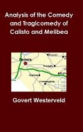 Analysis of the Comedy and Tragicomedy of Calisto and Melibea