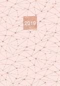 2019: A5 Diary Planner Journal WO2P Week on 2 Pages Horizontal Layout Geometric Rose Gold Design