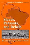 Slaves Peasants & Rebels Reconsidering