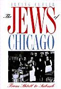 Jews Of Chicago From Shtetl To Suburb