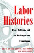 Labor Histories: Class, Politics, and the Working Class Experience