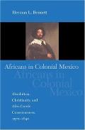 Africans in Colonial Mexico: Absolutism, Christianity, and Afro-Creole Consciousness, 1570-1640