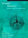 Synaptic Plasticity Molecular Cellular & Functional Aspects