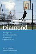 Diamond A Struggle for Environmental Justice in Louisianas Chemical Corridor