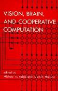 Vision Brain & Cooperative Computation