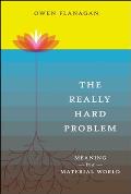The Really Hard Problem: Meaning in a Material World