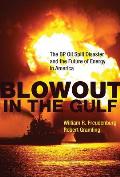 Blowout In The Gulf The Bp Oil Spill Disaster & The Future Of Energy In America