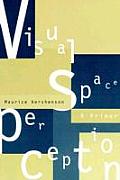 Visual Space Perception A Primer