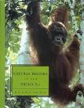 Natural History Of The Primates