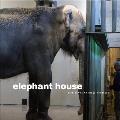 Elephant House