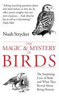 Magic & Myster of Birds