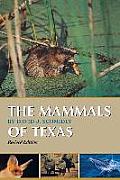 Mammals Of Texas