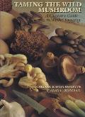 Taming The Wild Mushroom A Culinary Guide To Market Foraging