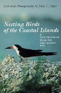 Nesting Birds Of The Coastal Islands A N