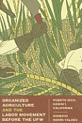Organized Agriculture and the Labor Movement Before the UFW: Puerto Rico, Hawaii, California
