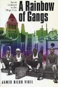 Rainbow of Gangs Street Cultures in the Mega City