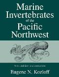 Marine Invertebrates Of The Pacific Northwest
