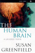 Human Brain A Guided Tour