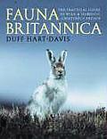 Fauna Britannica The Practical Guide To Wild