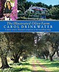 Illustrated Olive Farm A Newly Written Illustrated Companion to Her Bestselling Trilogy