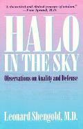 Halo In The Sky Observations On Anality