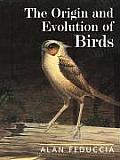 Origin & Evolution Of Birds