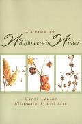 A Guide to Wildflowers in Winter: Herbaceous Plants of Northeastern North America