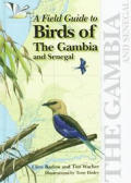 Field Guide To Birds Of The Gambia & Senegal