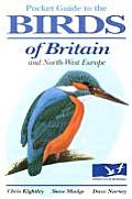 Pocket Guide to the Birds of Britain & North West Europe
