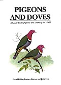Pigeons & Doves A Guide to Pigeons & Doves of the World