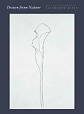 Drawn from Nature The Plant Lithographs of Ellsworth Kelly